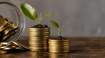 Gold Loan step